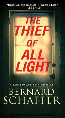 The Thief of All Light - Schaffer, Bernard