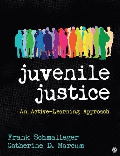 Juvenile Justice: An Active-Learning Approach - Schmalleger, Frank A.; Marcum, Catherine D.