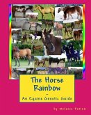 The Horse Rainbow