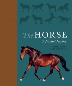 The Horse - Busby, Debbie; Rutland, Catrin