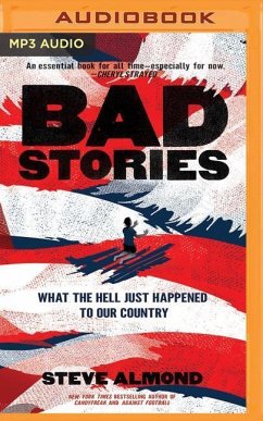 Bad Stories: What the Hell Just Happened to Our Country - Almond, Steve