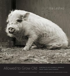 Allowed to Grow Old - Leshko, Isa