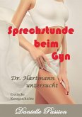 Sprechstunde beim Gyn 2 (eBook, ePUB)