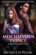 Mischievous Prince: A Qurilixen World... - Bild 1