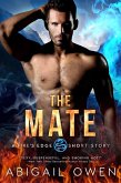 The Mate (eBook, ePUB)