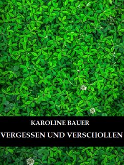 Vergessen und Verschollen (eBook, ePUB) - Bauer, Karoline