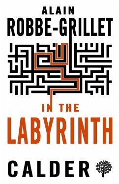 In the Labyrinth - Robbe-Grillet, Alain