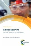 Electrospinning (eBook, PDF)