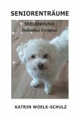 Seniorenträume (eBook, ePUB)