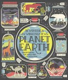The Wondrous Workings of Planet Earth (eBook, ePUB)