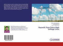 Hazards from Extra High Voltage Lines