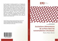 Excitations élémentaires de surface dans les nanomatériaux structurés: - El Abouti, Ossama;El Boudouti, El Houssaine