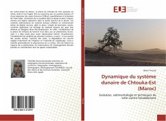 Dynamique du système dunaire de Chtouka-Est (Maroc) - Tnourji, Hasna