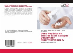 Daño hepático en crías de ratas Sprague Dawley por Hipervitaminosis A - Paredes Lazo, Dunia Teresita;Zaldivar G, Isvel;Hernández D, Rayza
