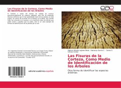 Las Fisuras de la Corteza, Como Medio de Identificación de los Árboles - Lajones Bone, Digmar Alfredo;García C., Damarys;Corozo Cortez, Carlos S.
