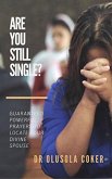 Are you still single? (eBook, ePUB)