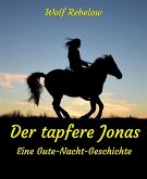 Der tapfere Jonas (eBook, ePUB)