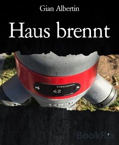 Haus brennt (eBook, ePUB) - Albertin, Gian