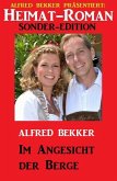 Heimat-Roman Sonder-Edition - Im Angesicht der Berge (eBook, ePUB)