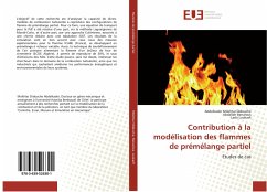 Contribution à la modélisation des flammes de prémélange partiel - Mokhtar Didouche, Abdelkader;Benarous, Abdallah;Loukarfi, Larbi