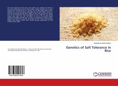 Genetics of Salt Tolerance in Rice