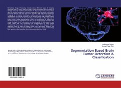 Segmentation Based Brain Tumor Detection & Classification