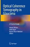 Optical Coherence Tomography in Glaucoma (eBook, PDF)