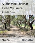 Hello My Prince (eBook, ePUB)