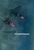 Unexpected Circumstance (eBook, ePUB)