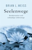 Seelenwege (eBook, ePUB)