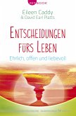 Entscheidungen fürs Leben (eBook, ePUB)