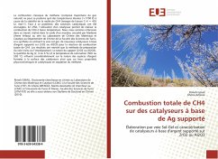 Combustion totale de CH4 sur des catalyseurs à base de Ag supporté - Ismail, Rimeh;Arfaoui, Jihene