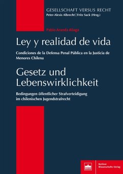 Gesetz und Lebenswirklichkeit (eBook, PDF) - Aliaga, Pablo Aranda