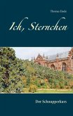 Der Schnupperkurs / Ich, Sternchen Bd.4 (eBook, ePUB)
