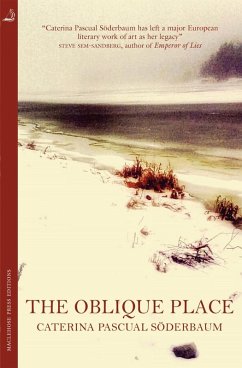 Cover The Oblique Place (eBook, ePUB)