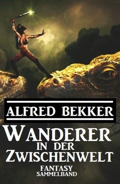 Wanderer in der Zwischenwelt (eBook, ePUB) - Bekker, Alfred