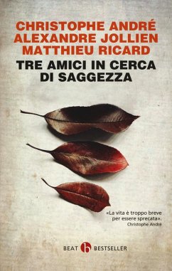 Tre amici in cerca di saggezza. Consigli per una vita felice - André, Christophe; Jollien, Alexandre; Ricard, Matthieu