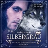 Silbergrau, Episode 9 - Fantasy-Serie (MP3-Download)