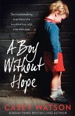 A Boy Without Hope (eBook, ePUB)