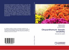 Chrysanthemum: Genetic variability