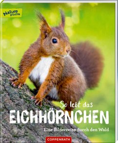 So lebt das Eichhörnchen - Noa, Sandra