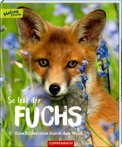 So lebt der Fuchs - Noa, Sandra