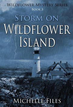Storm on Wildflower Island (Wildflower Mystery Series, #3) (eBook, ePUB) - Files, Michelle