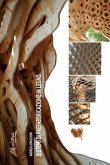 Sistemi di prefabbricazione in legno Sistemi di prefabbricazione in legno