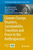 Climate Change, Disasters, Sustainability Transition and Peace in the Anthropocene (eBook, PDF)