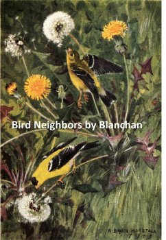 Bird Neighbors (eBook, ePUB) - Blanchan, Neltje