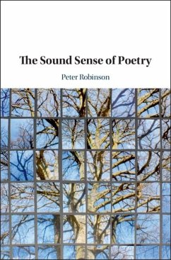 Sound Sense of Poetry (eBook, ePUB) - Robinson, Peter