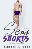 Sexy Shorts: Volume One: Gay Hookups and Anonymous Quickies (eBook, ePUB)