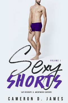 Cover Sexy Shorts: Volume One: Gay Hookups and Anonymous Quickies (eBook, ePUB)