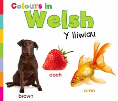 Colours in Welsh (eBook, PDF) - Nunn, Daniel